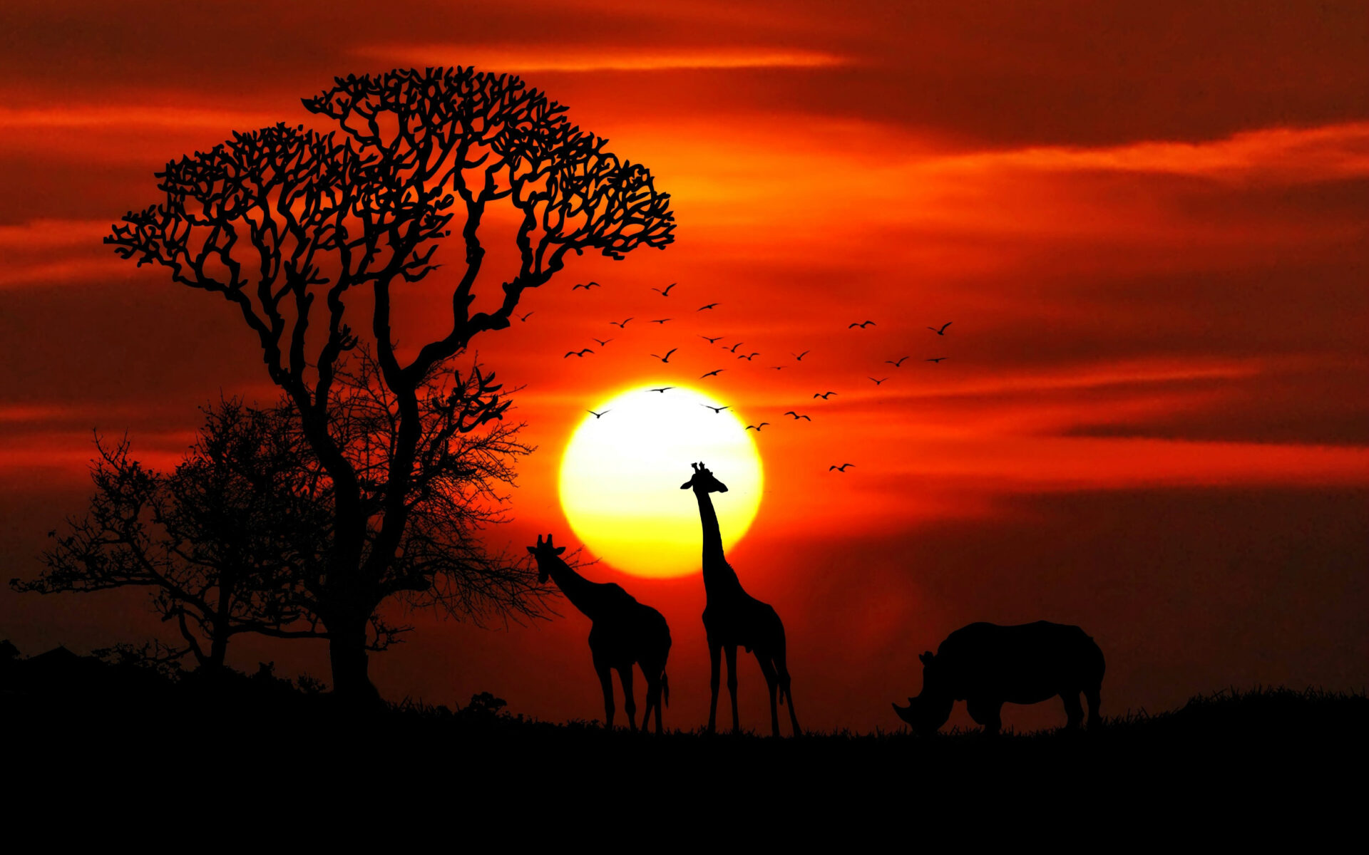 Sunset Animals399674606 - Sunset Animals - Wolves, sunset, Animals